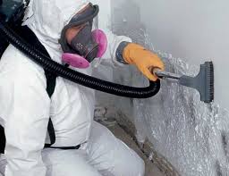 Forensic Mold Investigation in Spring Valley Lake, CA